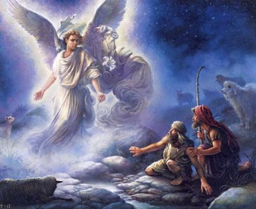 angel shepherds