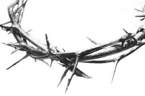 crown of thorns