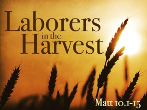Lord-of-Harvest