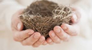 empty nest